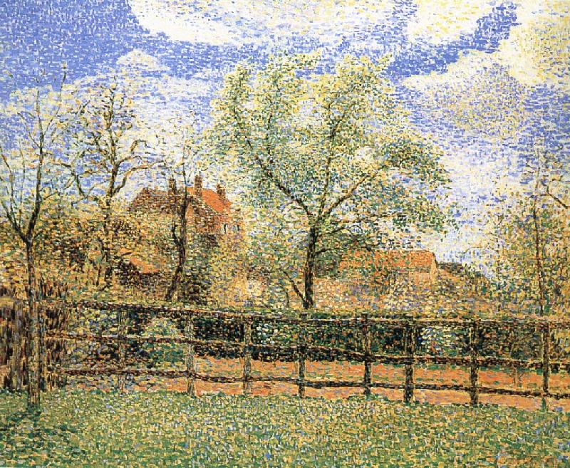 Camille Pissarro Pear trees bloom in the morning oil painting image